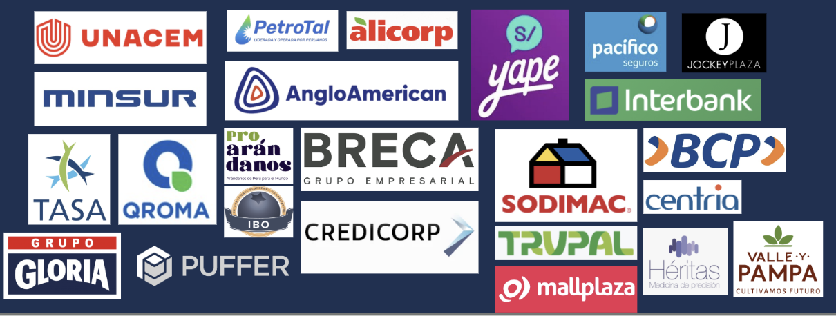 Clientes: Unacem, PetroTal, Alicorp, Yape, Pacífico, Minsur, Anglo American, Arandanos, Interbank, TASA, Qroma, Breca, BCP, Sodimac, Cencosud, Grupo Gloria, Puffer, Credicorp, Trupal, Mallplaza, Valle Grande