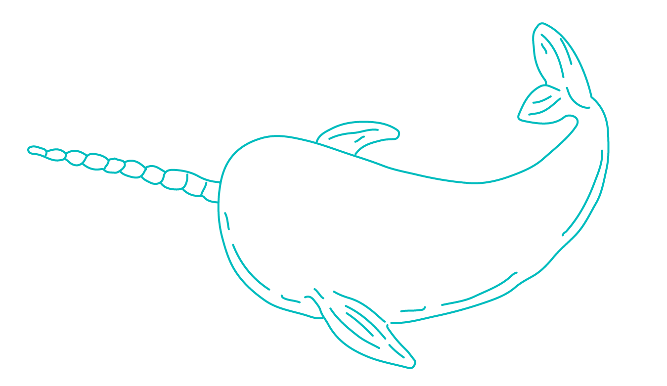 Ilustración de narval