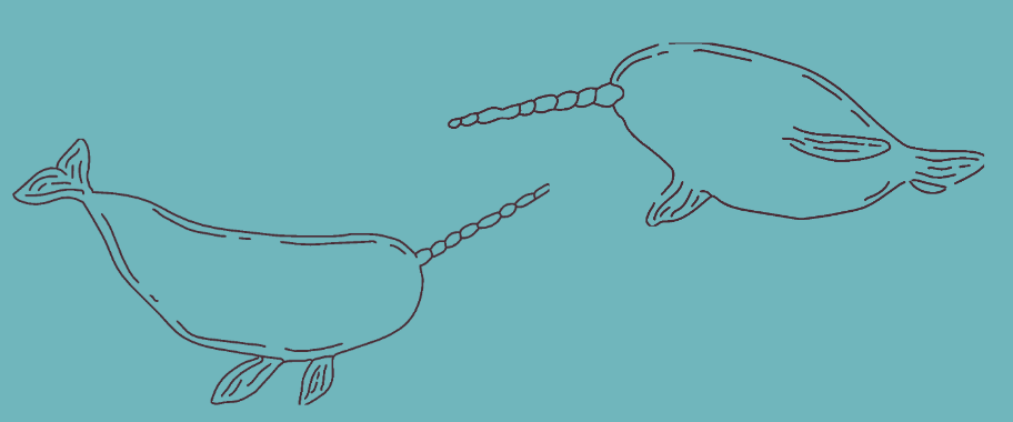 Ilustración de narvales